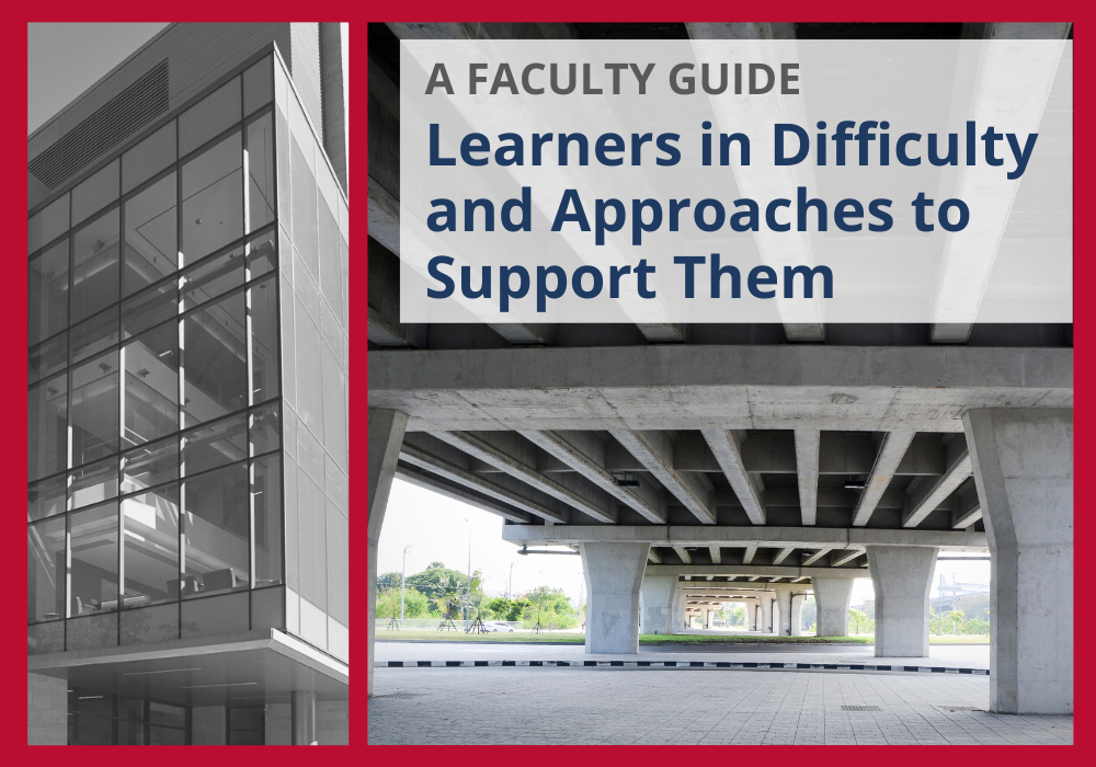 Learners in Difficulty - A Faculty Guide